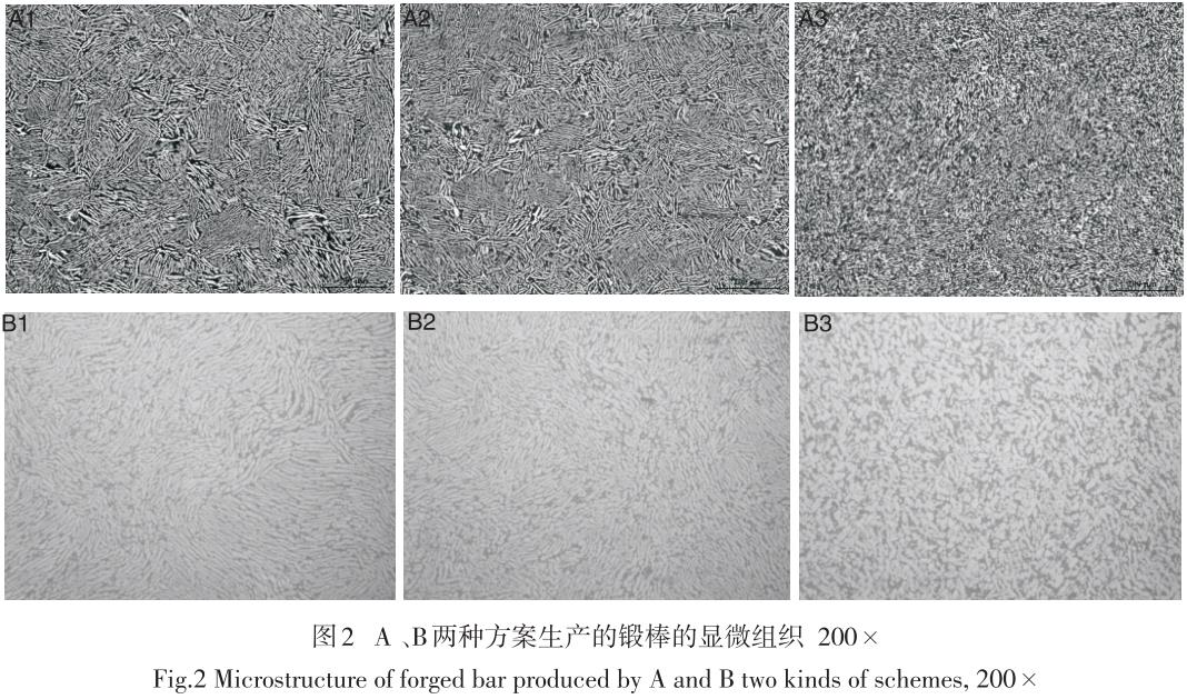 1687013230262054.jpg t2.jpg